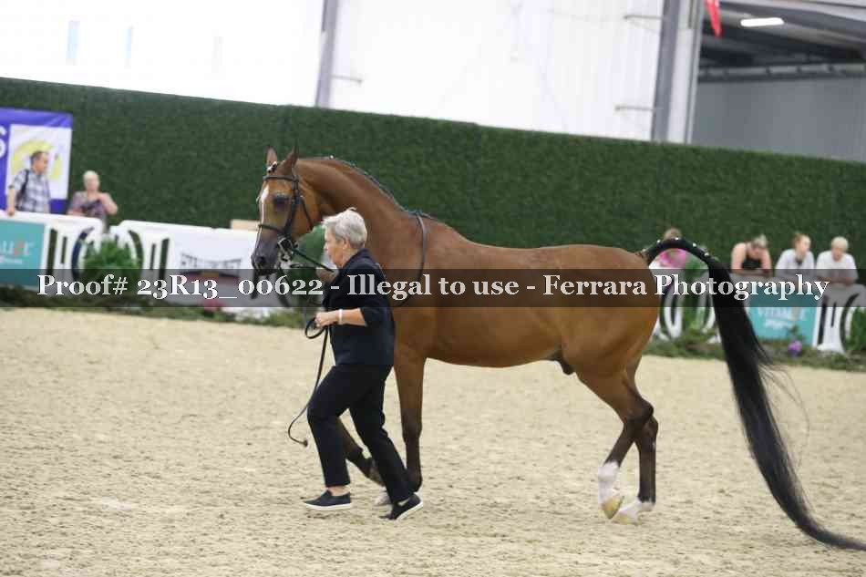 Proof Number 23R13_00622