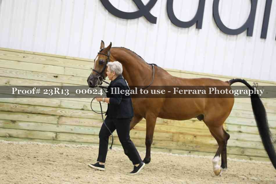 Proof Number 23R13_00624