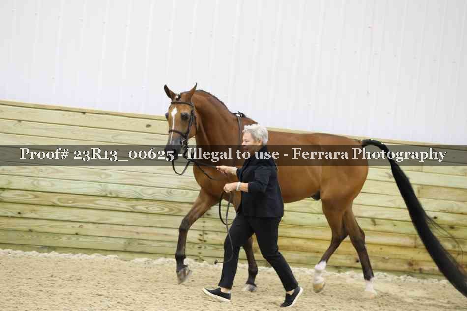 Proof Number 23R13_00625