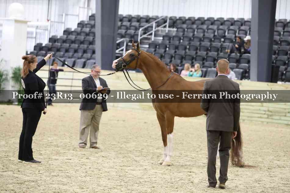 Proof Number 23R13_00629