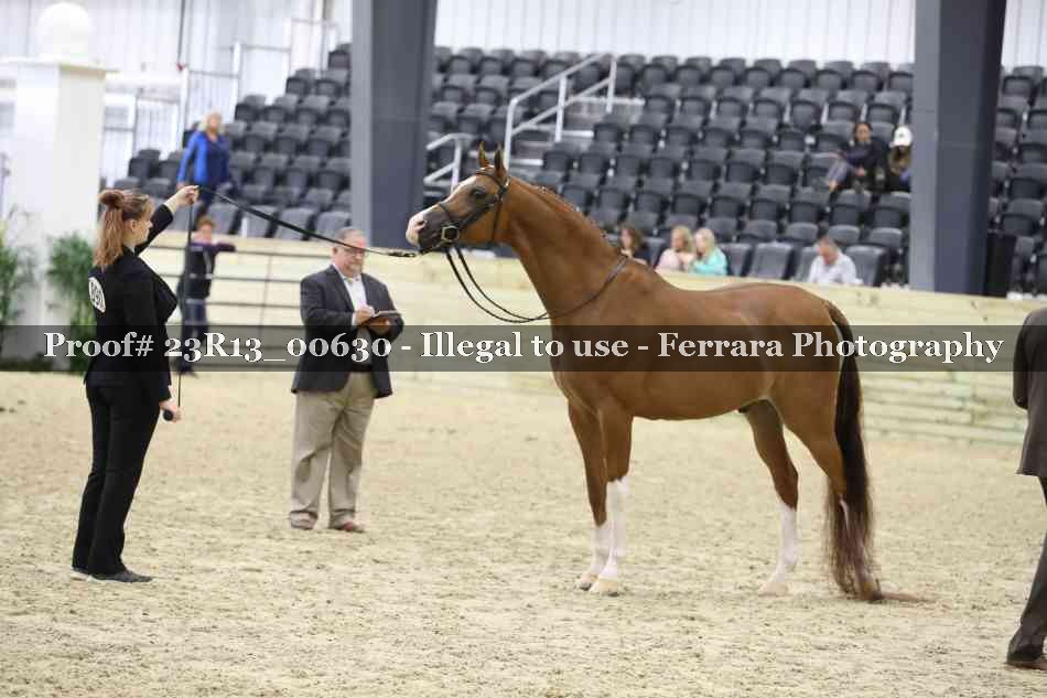Proof Number 23R13_00630