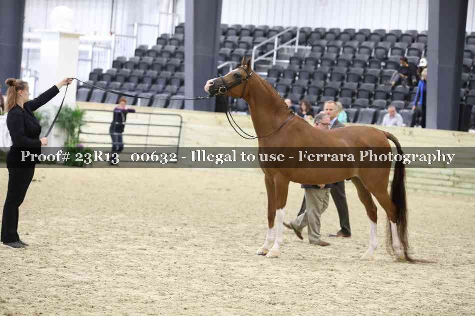 Proof Number 23R13_00632
