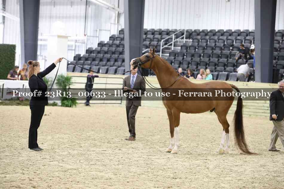 Proof Number 23R13_00633