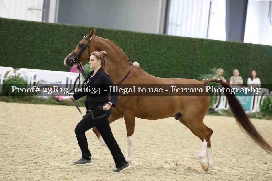 Proof Number 23R13_00634