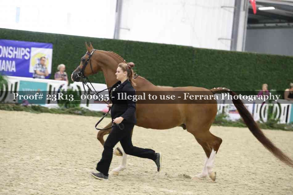 Proof Number 23R13_00635