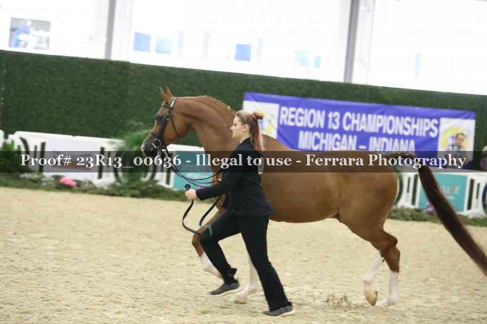 Proof Number 23R13_00636