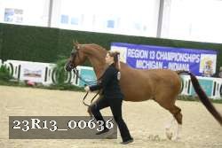 23R13_00636 thumbnail