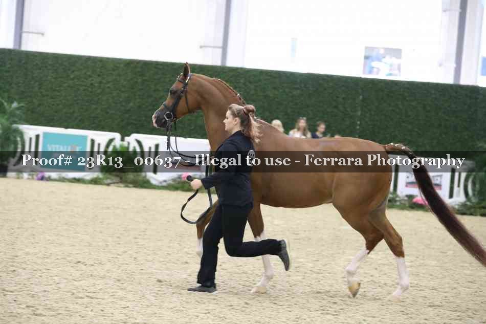 Proof Number 23R13_00637
