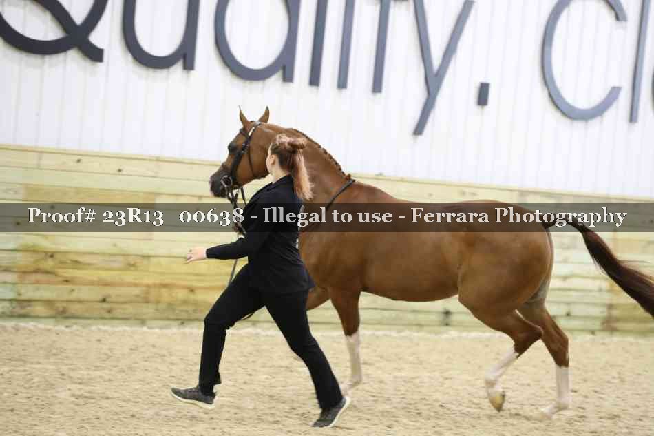 Proof Number 23R13_00638
