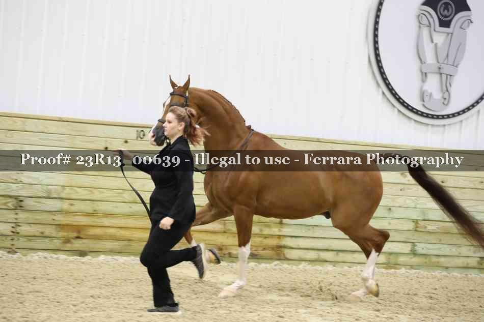 Proof Number 23R13_00639