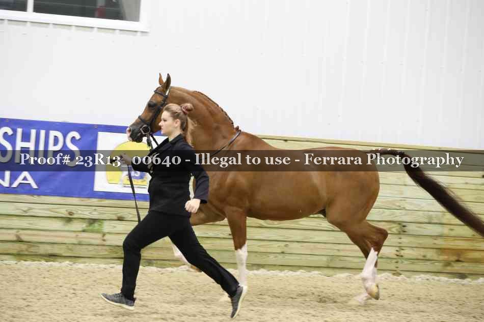 Proof Number 23R13_00640