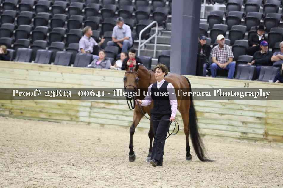 Proof Number 23R13_00641