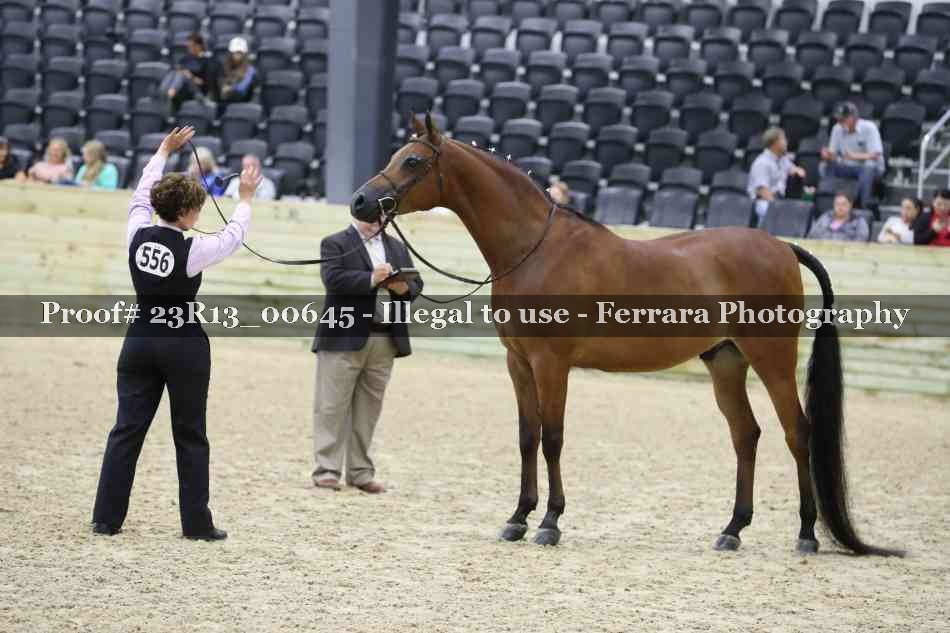 Proof Number 23R13_00645