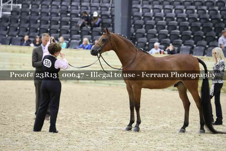 Proof Number 23R13_00647