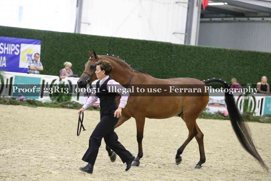 Proof Number 23R13_00651