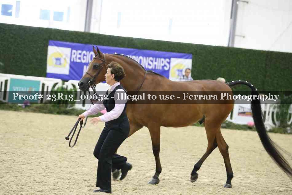 Proof Number 23R13_00652