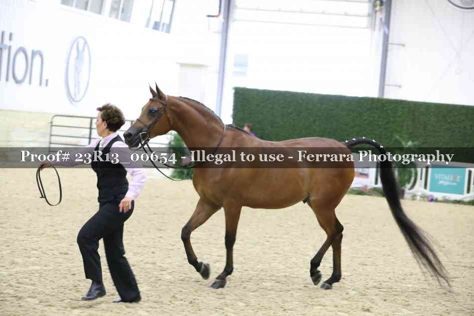 Proof Number 23R13_00654