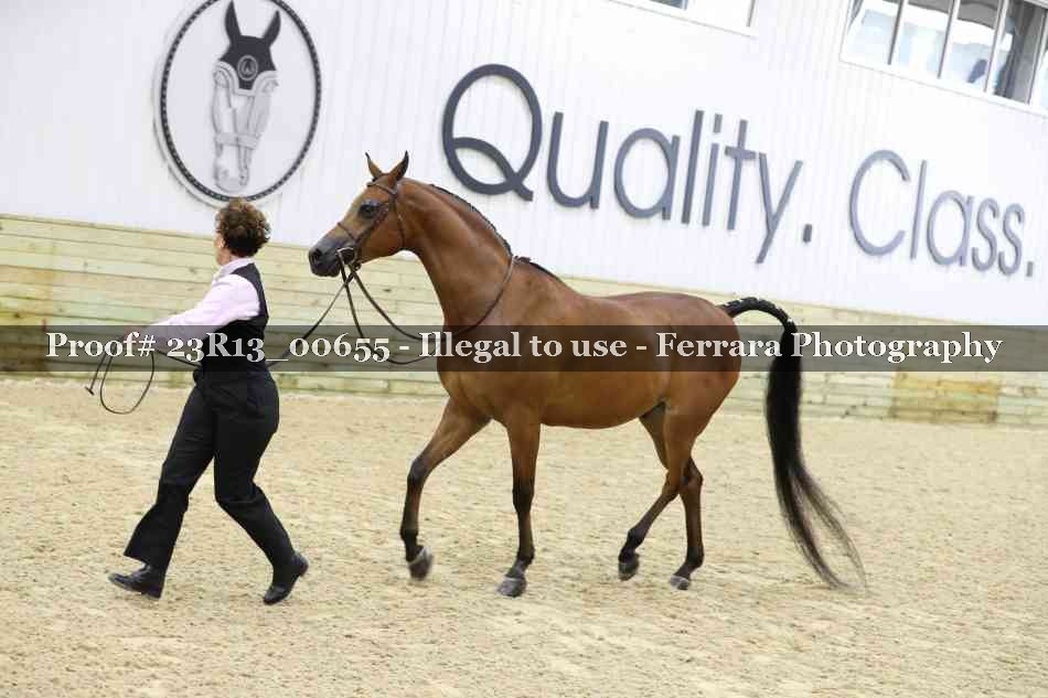 Proof Number 23R13_00655
