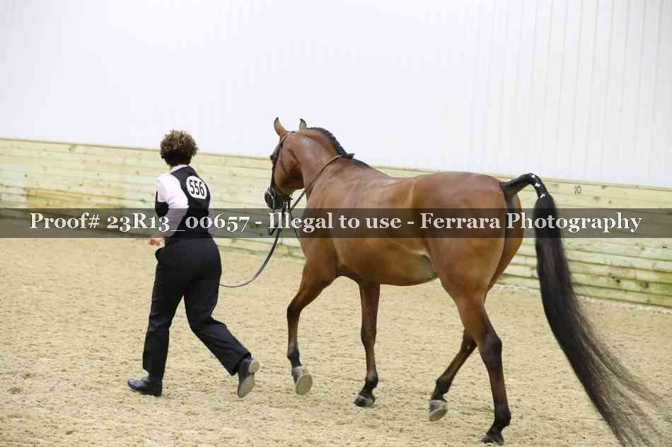Proof Number 23R13_00657