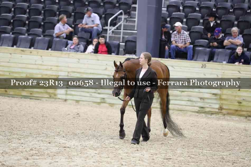 Proof Number 23R13_00658