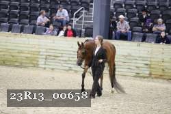 23R13_00658 thumbnail