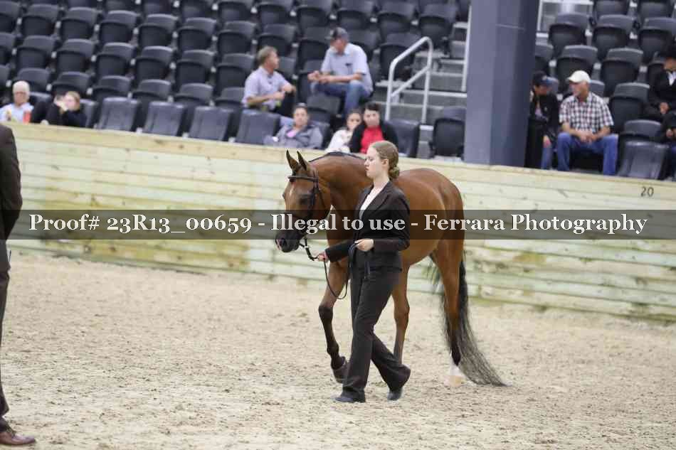 Proof Number 23R13_00659