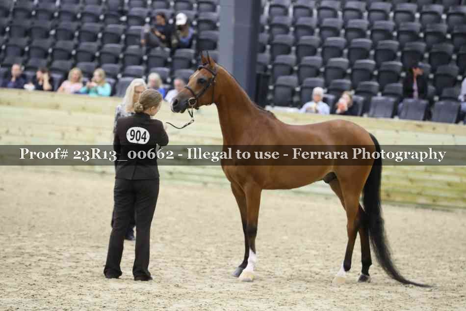 Proof Number 23R13_00662