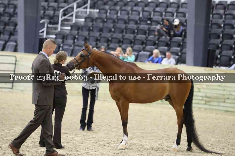Proof Number 23R13_00663