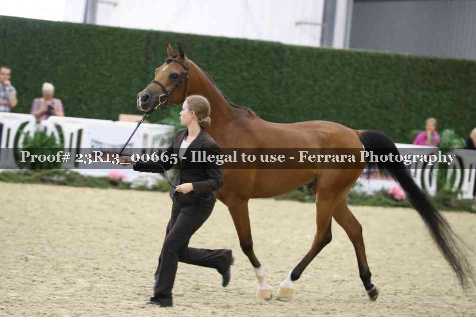Proof Number 23R13_00665