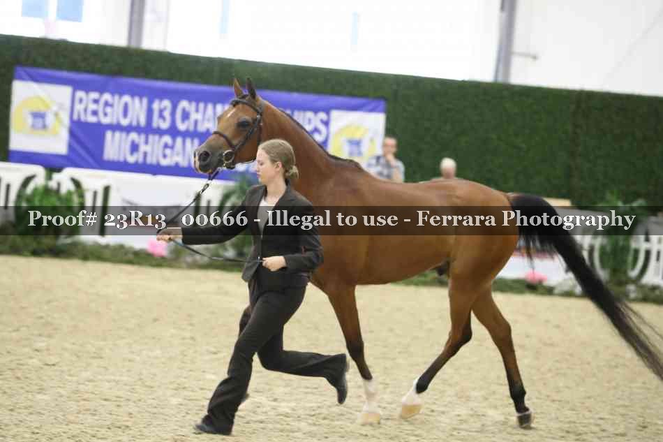 Proof Number 23R13_00666
