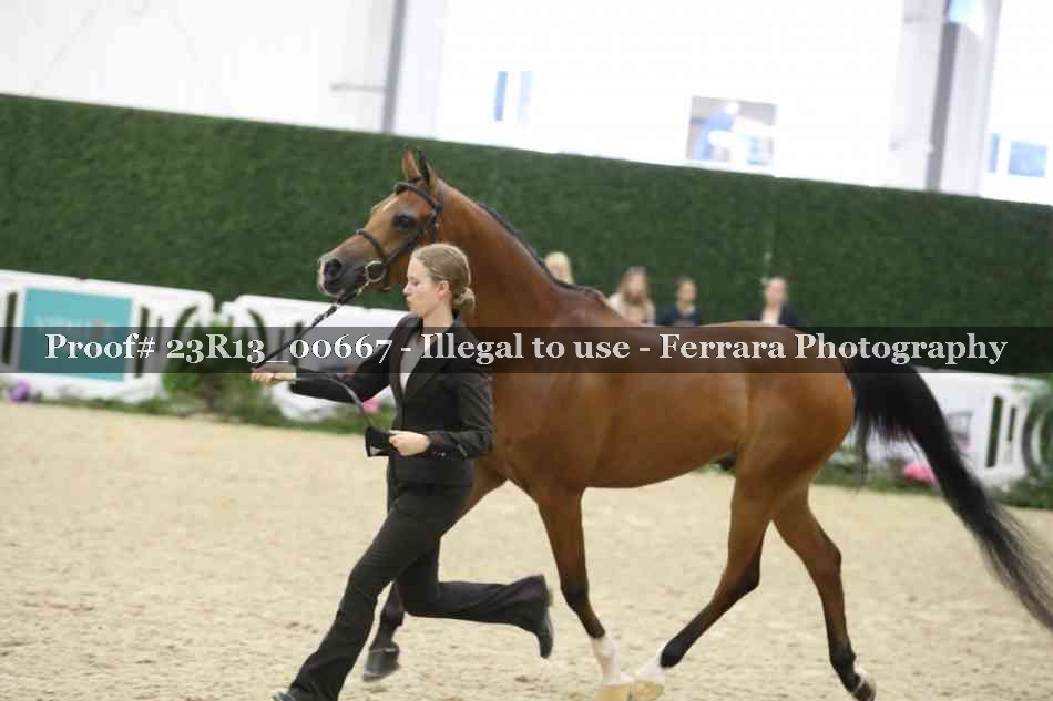 Proof Number 23R13_00667