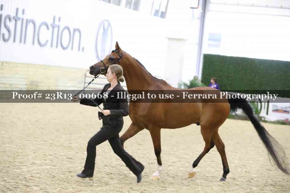 Proof Number 23R13_00668