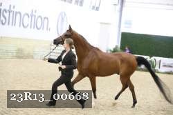 23R13_00668 thumbnail