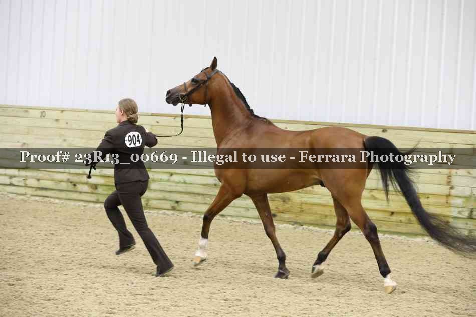 Proof Number 23R13_00669