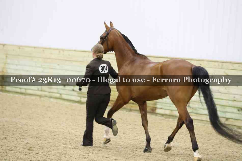 Proof Number 23R13_00670