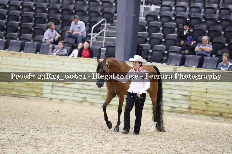 Proof Number 23R13_00671