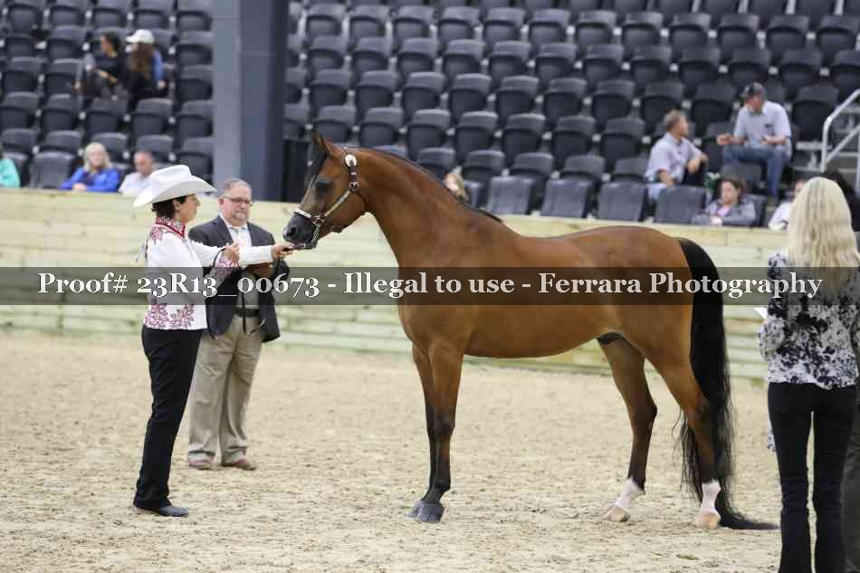 Proof Number 23R13_00673
