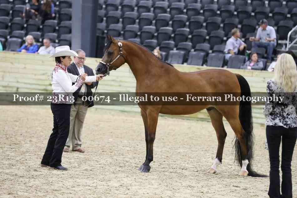 Proof Number 23R13_00674