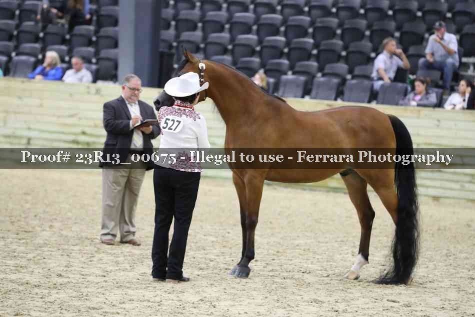 Proof Number 23R13_00675
