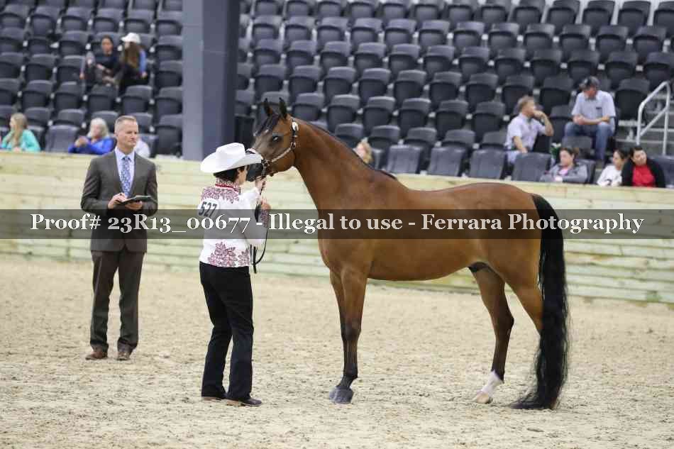 Proof Number 23R13_00677