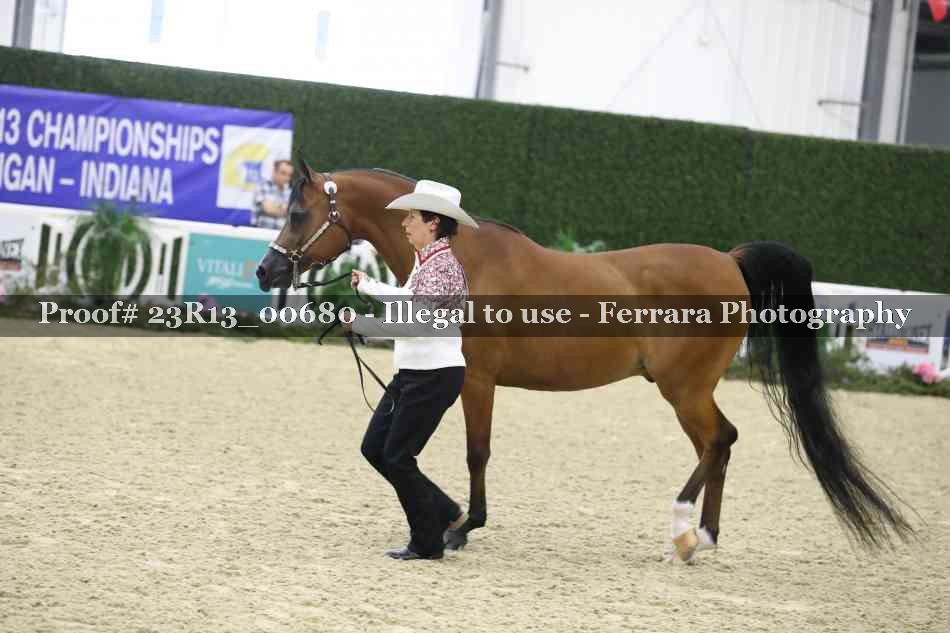 Proof Number 23R13_00680