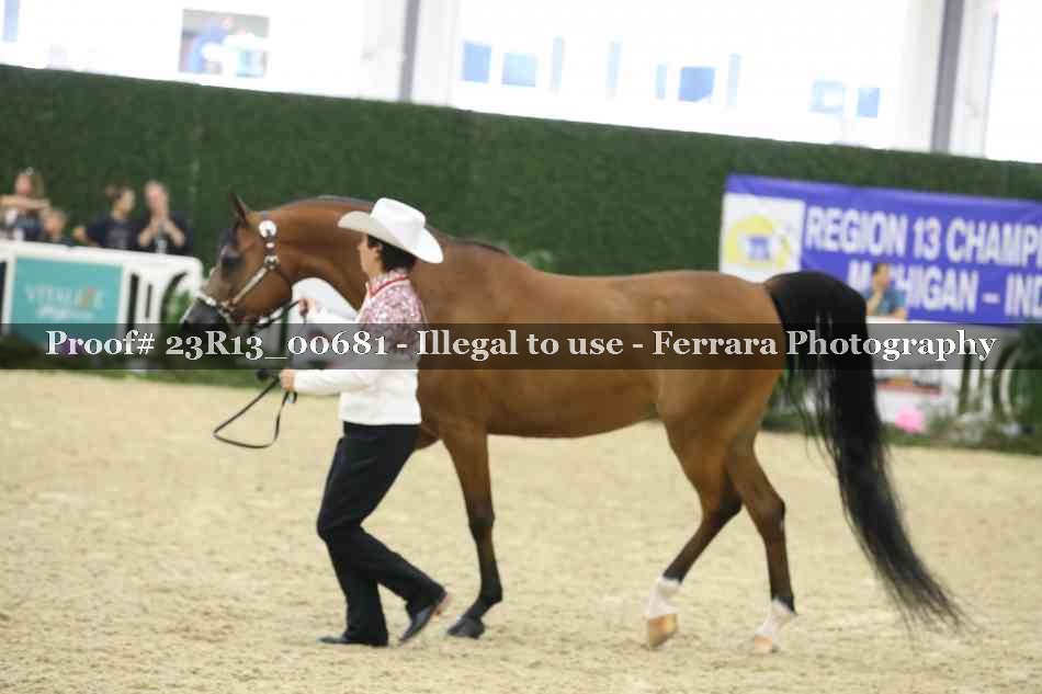 Proof Number 23R13_00681