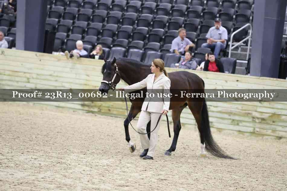 Proof Number 23R13_00682