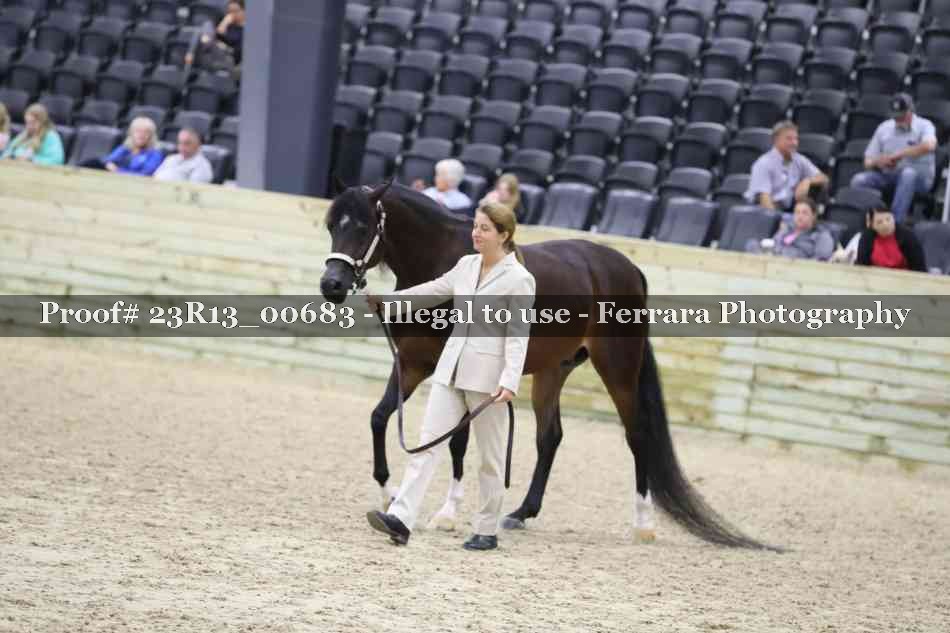 Proof Number 23R13_00683