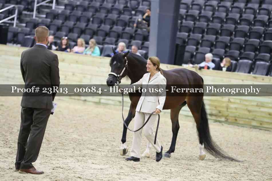 Proof Number 23R13_00684