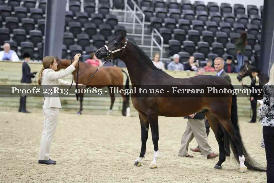Proof Number 23R13_00685