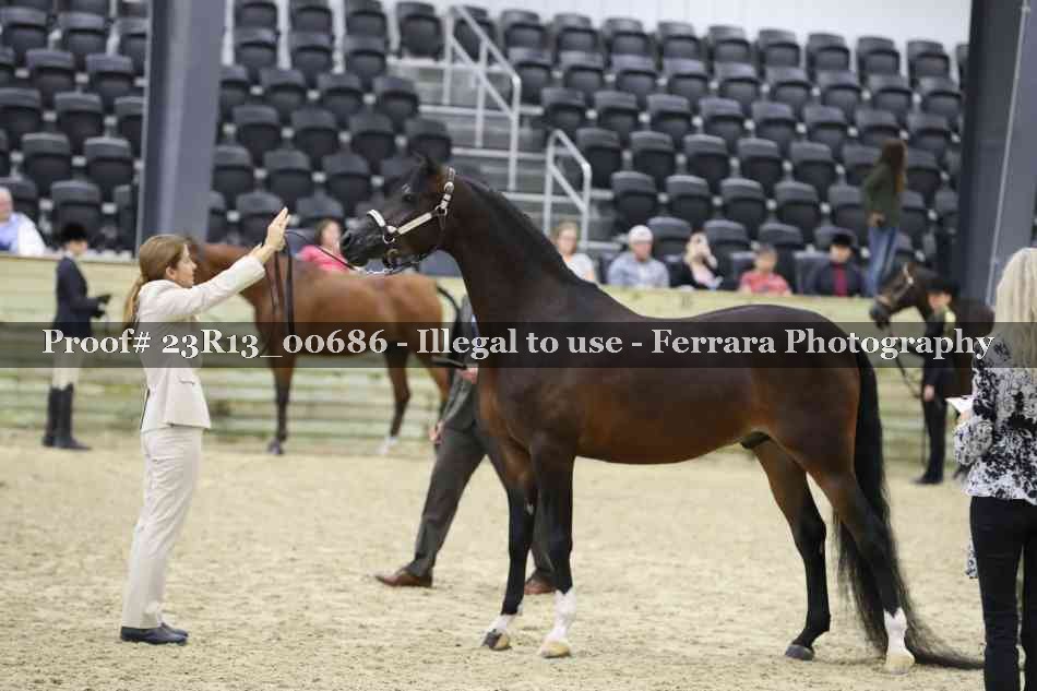 Proof Number 23R13_00686