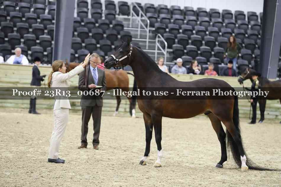 Proof Number 23R13_00687