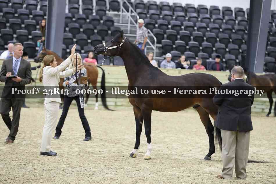 Proof Number 23R13_00690