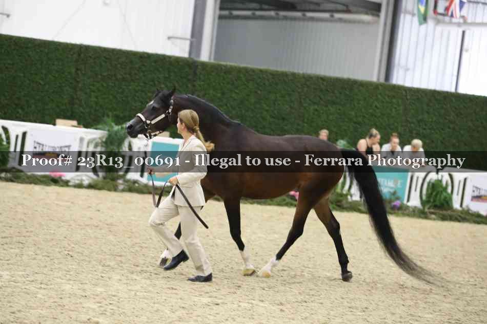 Proof Number 23R13_00691